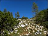 End of road on Vogar - Mala Tičarica